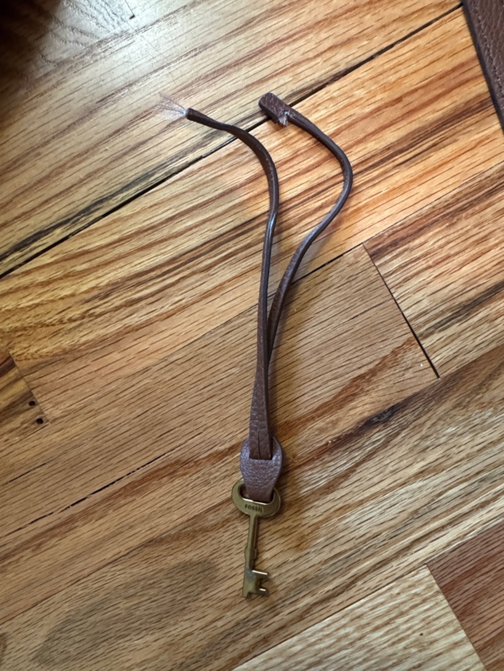 Fossil Leather Crossbody Bag in Rust - Picture 14 of 16